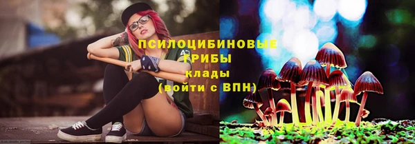 mdpv Баксан