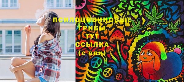 Альфа ПВП Осинники
