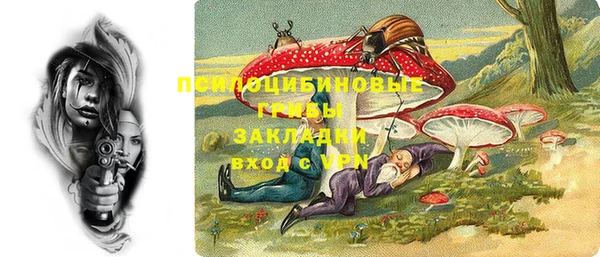 Альфа ПВП Осинники